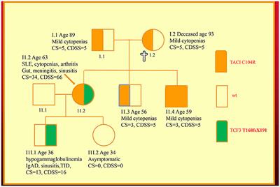 Assessing Disease Severity in Common Variable Immunodeficiency Disorders (CVID) and CVID-Like Disorders